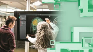 Two doctors looking at medical imagery