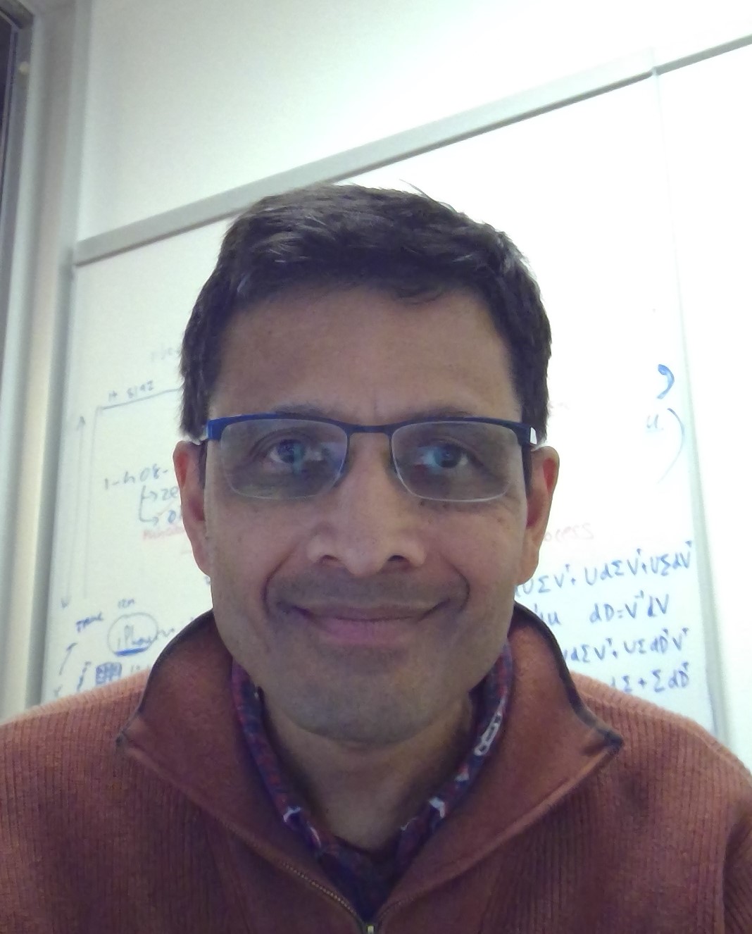 Sarangarajan Parthasarathy的肖像