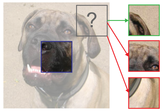 In a sample self-supervision task, the model selects the best patch conditioned on the center patch for a particular location given a set of candidates. Generally, in tasks like these, the conditioned and predicted features correspond to different locations (autoregression). DIM differs in that the conditioned feature is a function of all predicted features, which we call self-prediction and which both simplifies implementation and improves results.