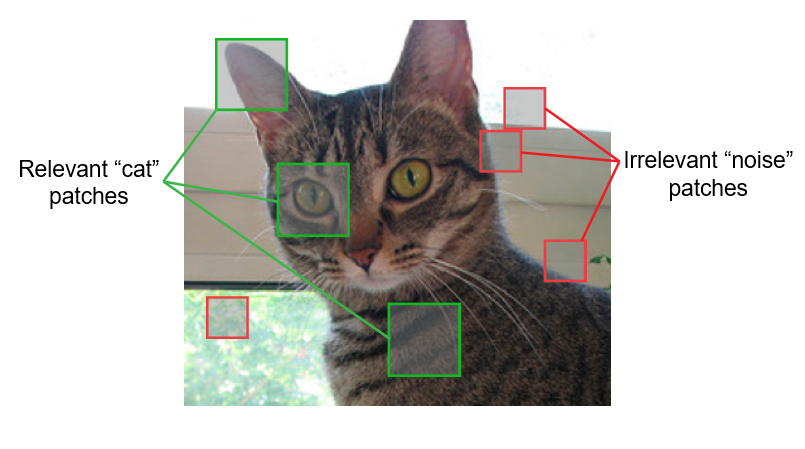 An image contains both relevant information and irrelevant information, or noise. In many cases, the noise can represent a larger “quantity” of information.