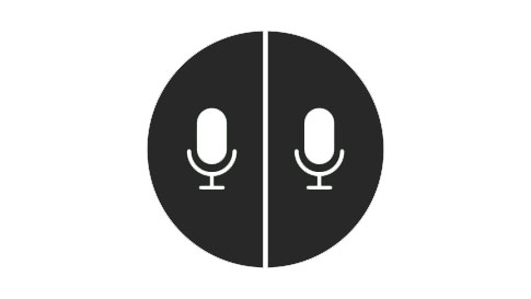 Translator app split-screen feature